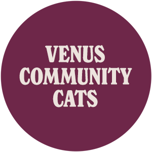 Venus Community Cats
