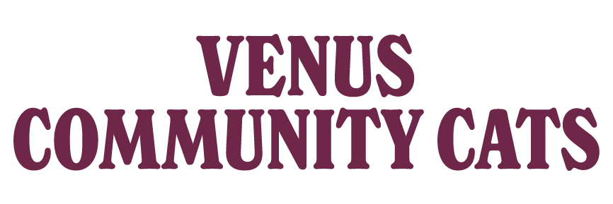 Venus Community Cats